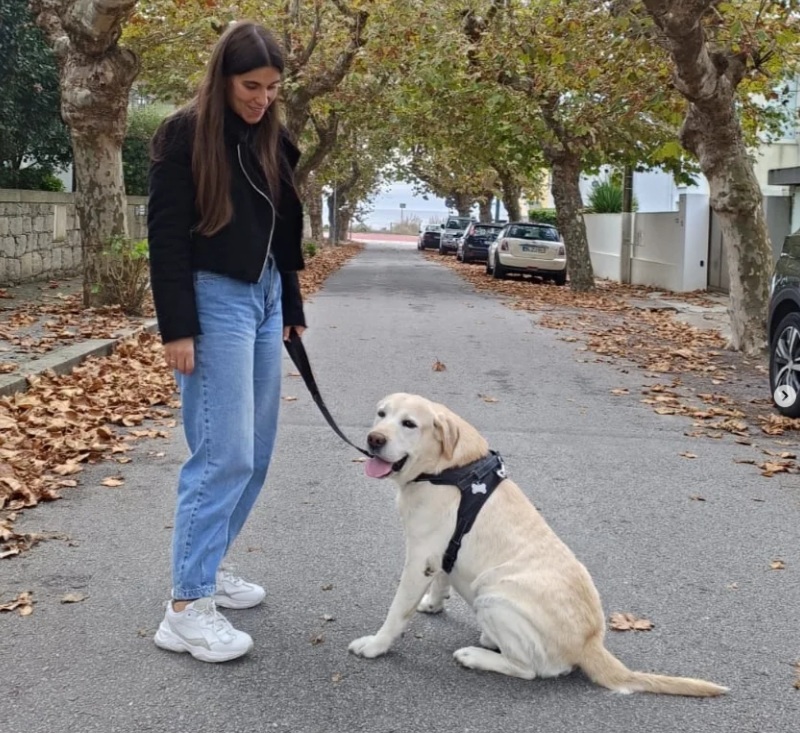 Catarina
